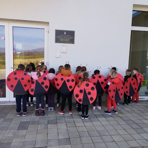 WhatsApp Image 2023 03 08 at 17 23 39 (6)