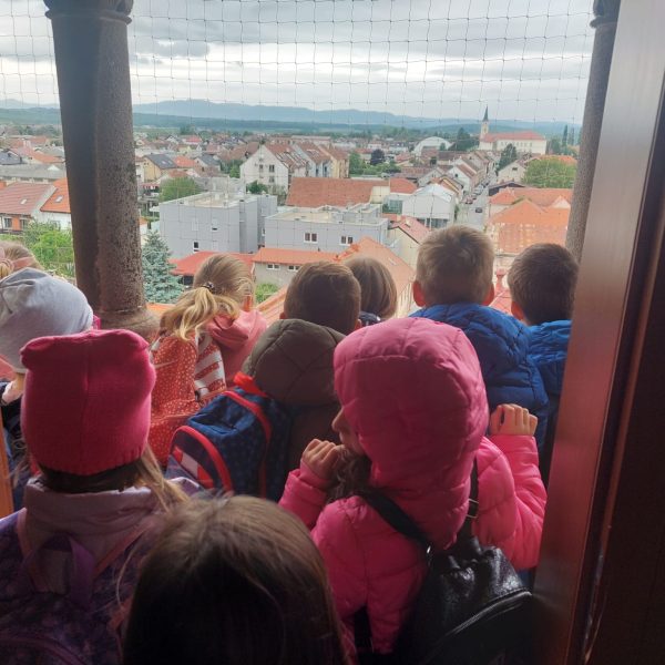 WhatsApp Image 2023 06 05 at 15 51 21