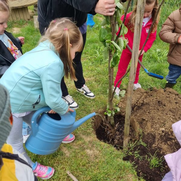 WhatsApp Image 2024 04 22 at 13 22 00