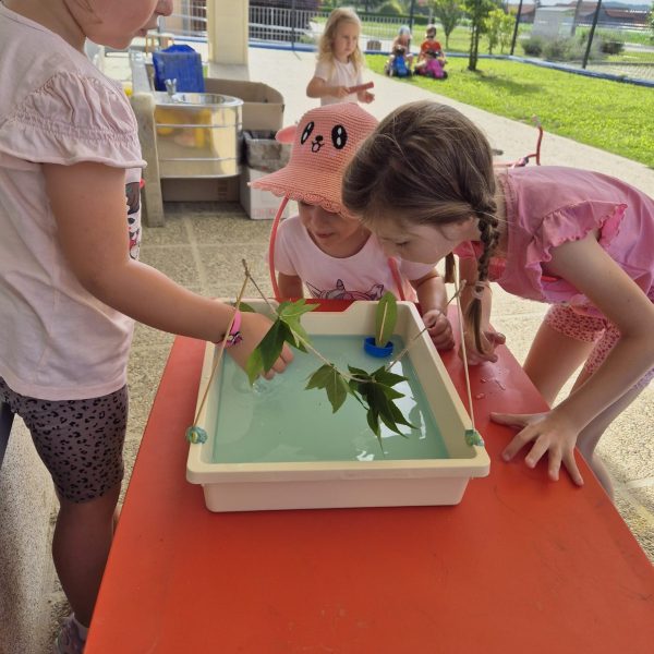 WhatsApp Image 2024 07 24 at 11 49 45 (2)