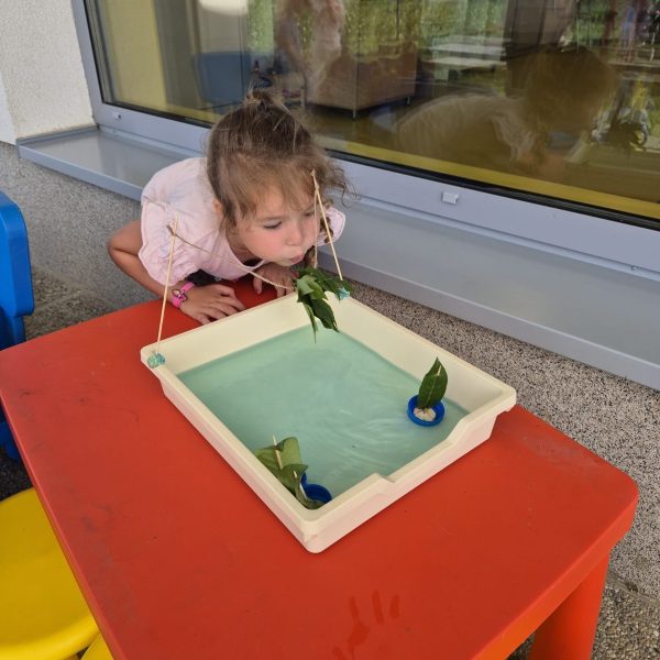 WhatsApp Image 2024 07 24 at 11 49 45 (5)