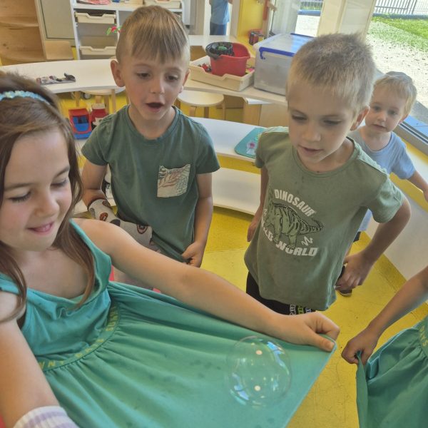 WhatsApp Image 2024 07 24 at 11 49 45 (6)