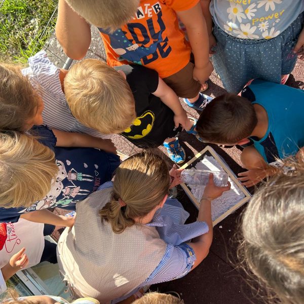 WhatsApp Image 2024 09 09 at 13 01 02