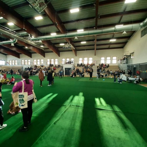 68cc1ba8 8f1a 4f75 952f 93cb06287c03