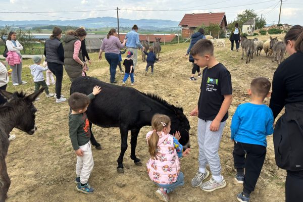 WhatsApp Image 2026-04-17 at 19.49.03 (1)