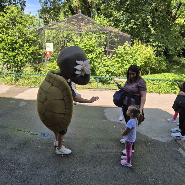 29183